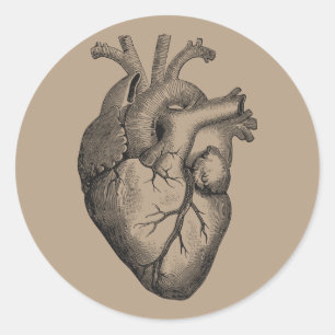 Sticker Rond Illustration vintage de coeur