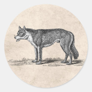 Sticker Rond Illustration vintage de loup - modèle des loups