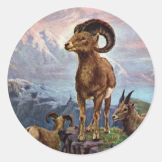 Sticker Rond Illustration Vintage du mouton de Bighorn