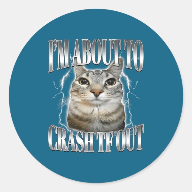 Sticker Rond I'm About To Crash Out Funny Staring Cat Brainrot  (Devant)