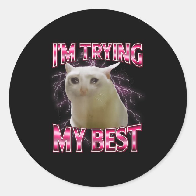 Sticker Rond I'm Trying My Silly Crying Cat Meme Funny Cats Ani (Devant)