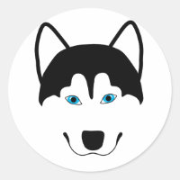 Image de la race de chien de Cute Husky