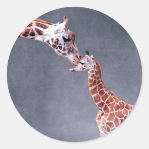Sticker Rond Images Getty Mère et bébé Giraffe