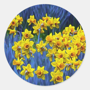Sticker Rond Imaginaire Daffodil Spring