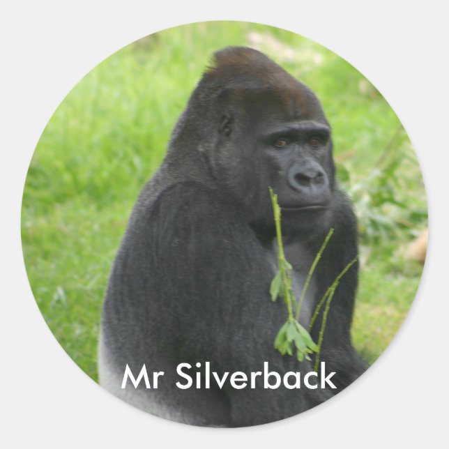 Sticker Rond IMG_8810, M. Silverback (Devant)