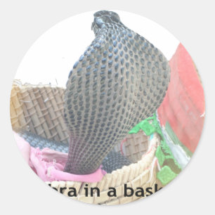 Sticker Rond Impression d'art Cobra dans un panier