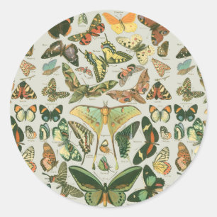 Sticker Rond Impression de motif de papillon de nuit vintage