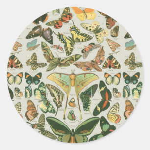 Sticker Rond Impression de motif de papillon de nuit vintage