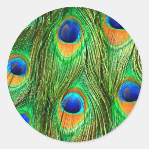 Sticker Rond Impression de plumes de paon colorées