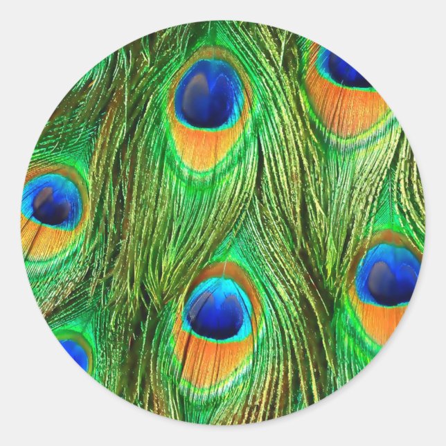 Sticker Rond Impression de plumes de paon colorées (Devant)