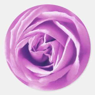 Sticker Rond Impression rose Lavender