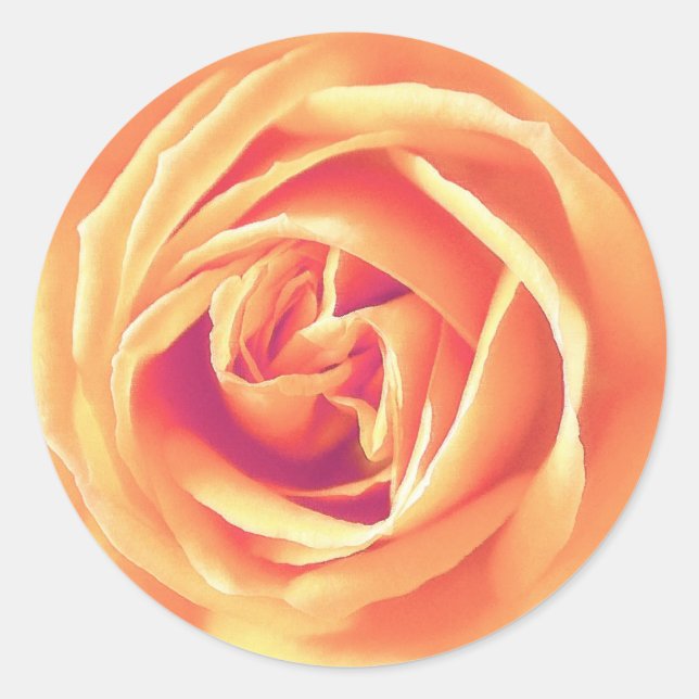 Sticker Rond Impression rose orange doux (Devant)