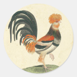 Sticker Rond Impression vintage de coq français