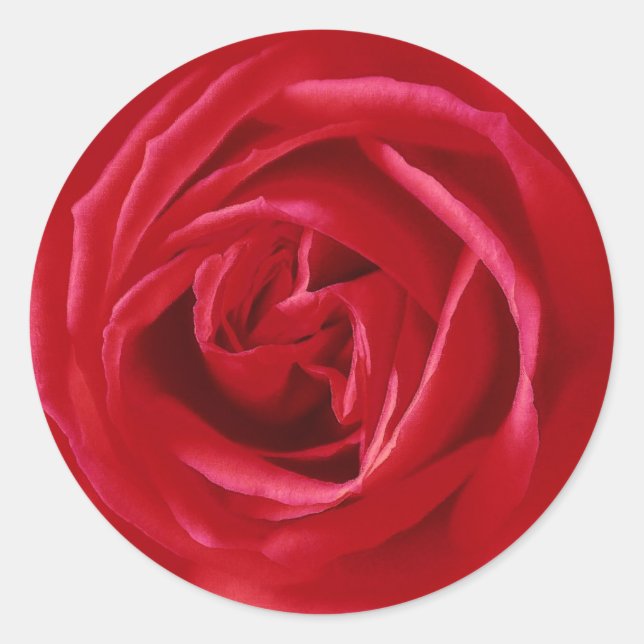 Sticker Rond imprimé rose rouge (Devant)