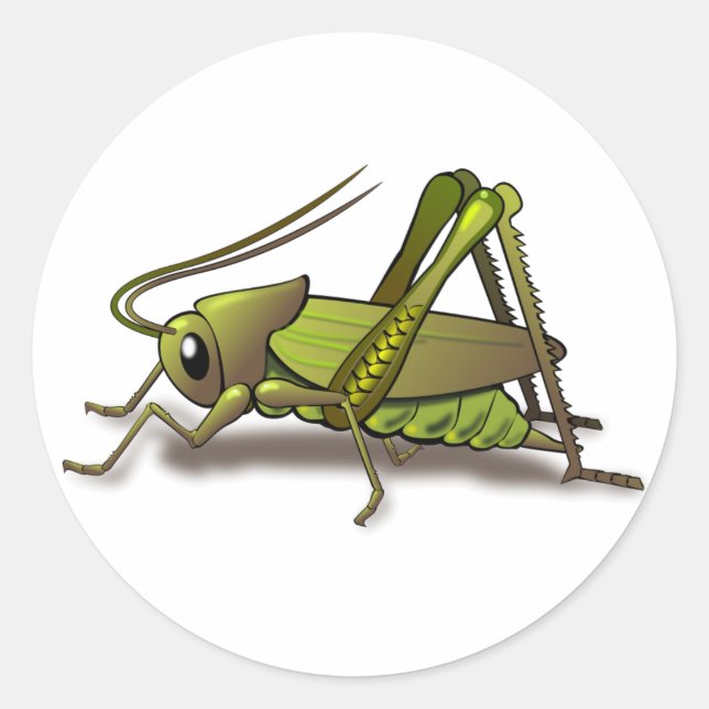 Sticker Rond Insecte verte au cricket (Devant)