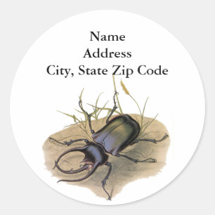 Sticker Rond Insectes et bugs vintage, Scarabée rhinocéros