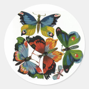 Sticker Rond Insectes vintages ou des insectes, Belles papillon