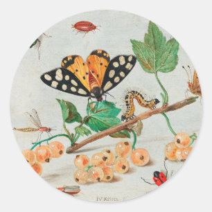 Sticker Rond Insects and Fruits - Jan van Kessel