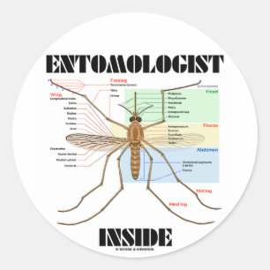 Sticker Rond Intérieur d'entomologiste (anatomie de moustique)