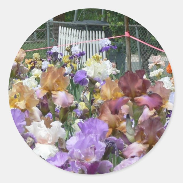 Sticker Rond Iris Garden (Devant)