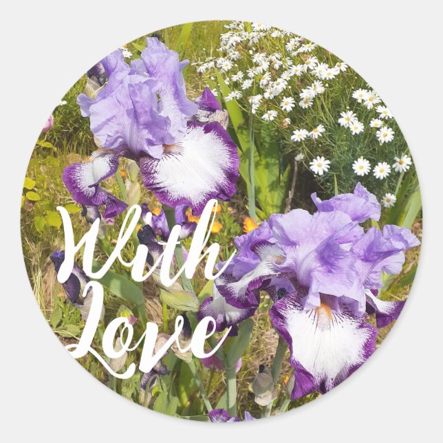 Sticker Rond Iris Irises Fleur Violet Fleur Florale Lavande Amo (Devant)