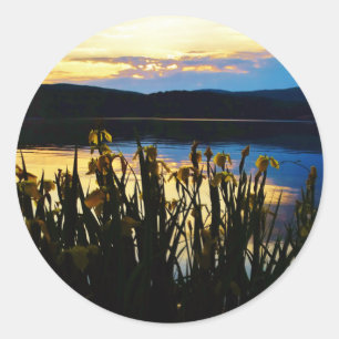 Sticker Rond Iris jaunes sur la rive du lac Arrowhead