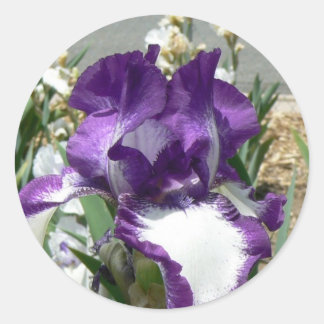 Sticker Rond Iris violet et blanc