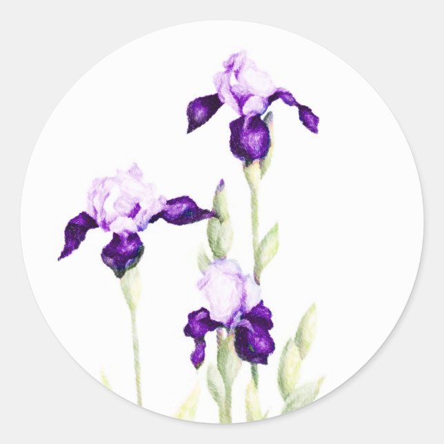 Sticker Rond Irises pourpres bat mitzvah (Devant)