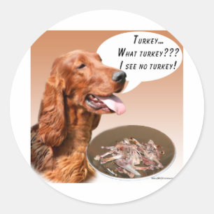Sticker Rond Irlande Setter Turquie