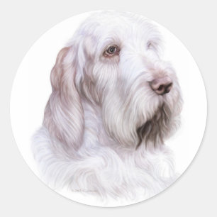 Sticker Rond Italien Spinone Italiano