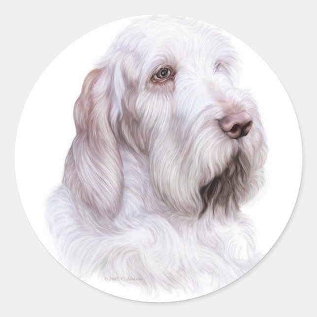 Sticker Rond Italien Spinone Italiano (Devant)