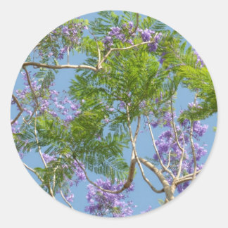 Sticker Rond jacaranda à fleurs violettes contre ciel bleu