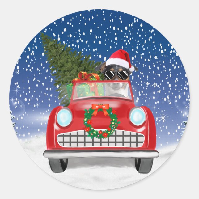 Sticker Rond Jack Russell Chien Voiture De Conduite En Neige No (Devant)