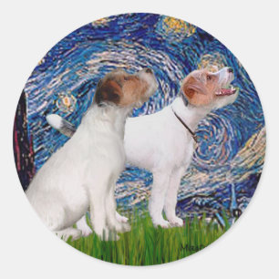 Sticker Rond Jack Russell Pair 4 - Nuit étoilée