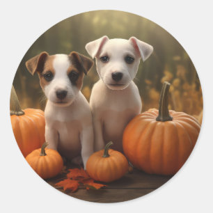 Sticker Rond Jack Russell Puppy Automne Citrouille de plaisir