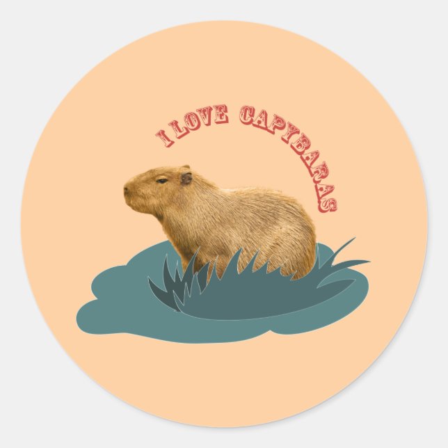 Sticker Rond J'adore les capybaras (Devant)