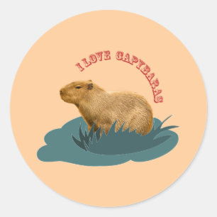 Sticker Rond J'adore les capybaras Amoureux de capybara mignon