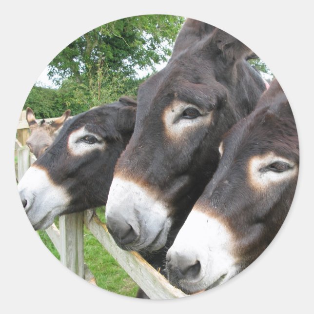 Sticker Rond J'adore les Donkeys ! (Devant)