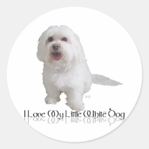 Sticker Rond J'adore mon petit chien blanc - Havanais