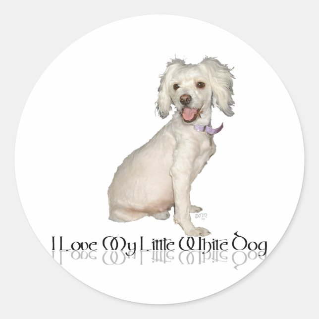 Sticker Rond J'adore mon petit chien blanc - Mélange Caniche /  (Devant)