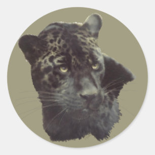 Sticker Rond Jaguar noir