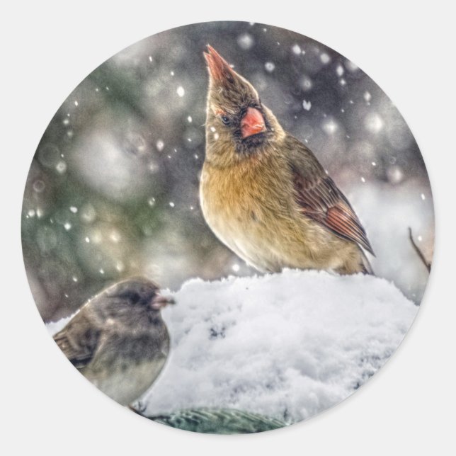 Sticker Rond J'ai mon oeil sur toi (Devant)