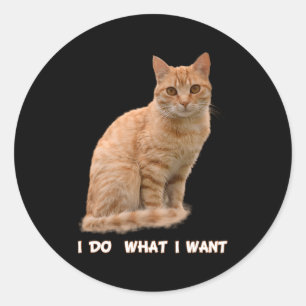 Sticker Rond J'Ai Voulu Orange Tabby Cat