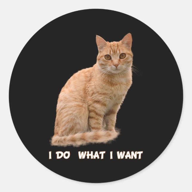 Sticker Rond J'Ai Voulu Orange Tabby Cat (Devant)