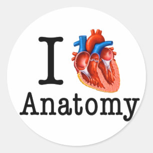 Sticker Rond J'aime l'anatomie