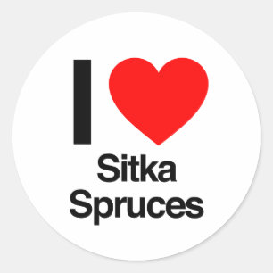 Sticker Rond j'aime les épinettes de sitka