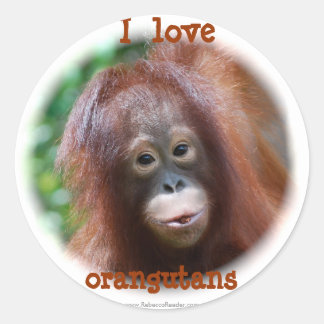 Sticker Rond J'aime les orangs-outans