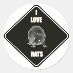 Sticker Rond J'aime les rats