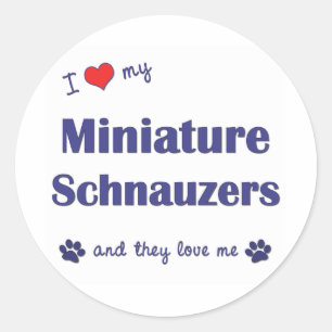 Sticker Rond J'aime mes Schnauzers miniatures (les chiens