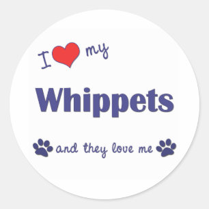 Sticker Rond J'aime mes whippets (les chiens multiples)